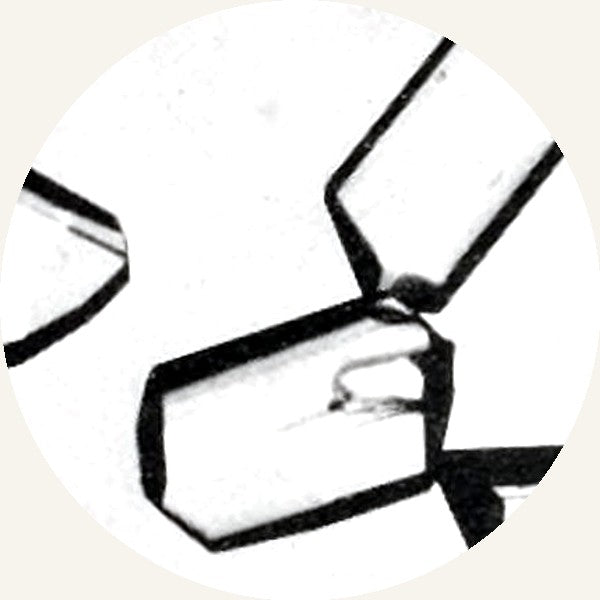 Glicina